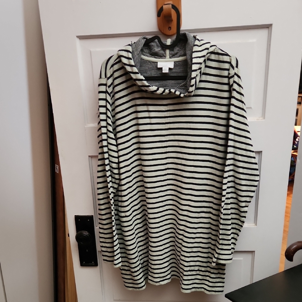 JJill Sweatshirt Hoodie In Light Green With Navy Stripes
